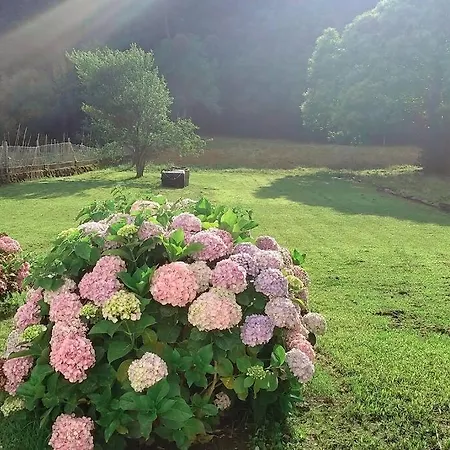 Vivienda Completa Cerca De La Playa * L'île d'Arousa