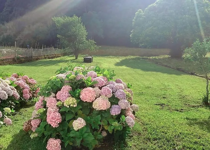 Vivienda Completa Cerca De La Playa * イスラ・デ・アローサ